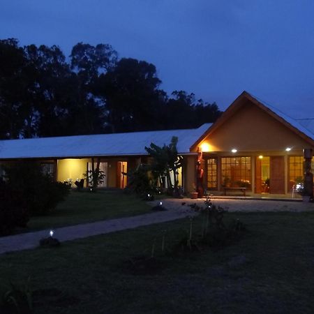 Cabañas Rapa Nui Orito Hanga Roa Exterior foto