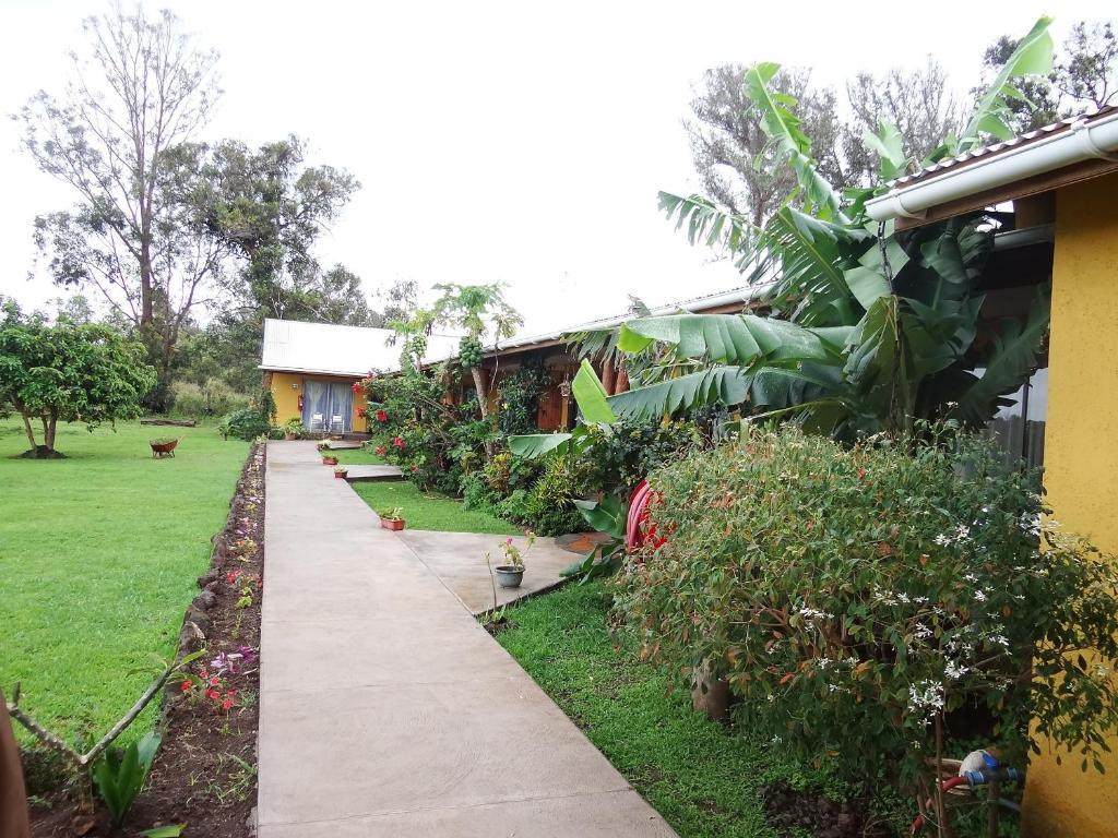 Cabañas Rapa Nui Orito Hanga Roa Exterior foto